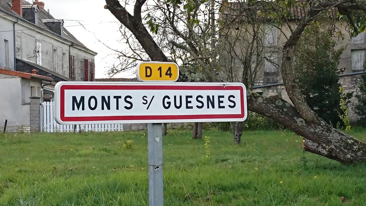Vila L'Olivier Monts-sur-Guesnes Exteriér fotografie