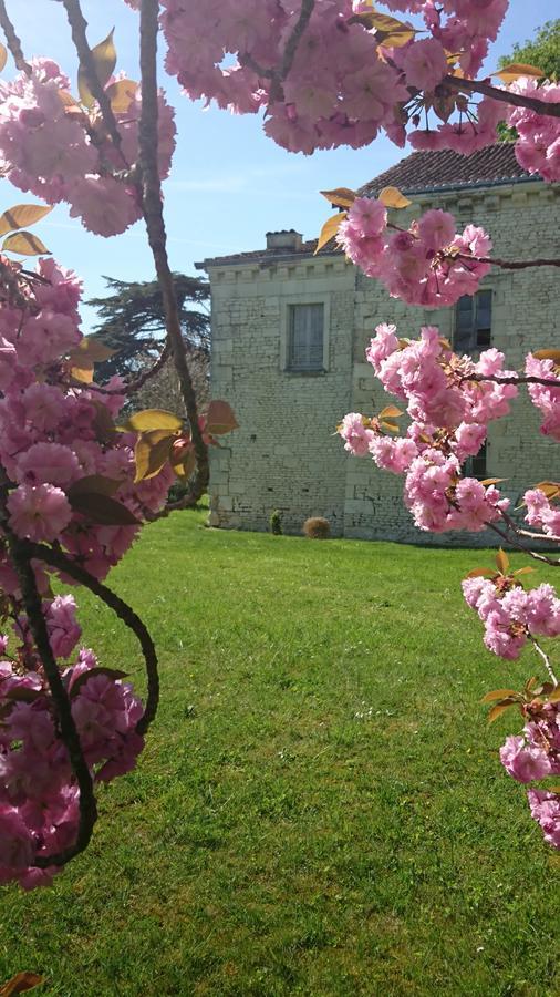 Vila L'Olivier Monts-sur-Guesnes Exteriér fotografie