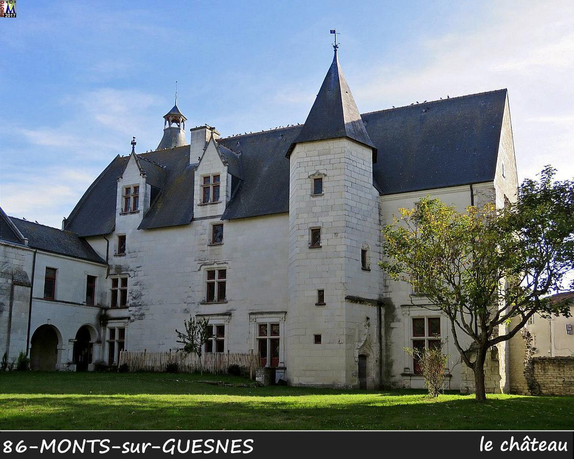 Vila L'Olivier Monts-sur-Guesnes Exteriér fotografie