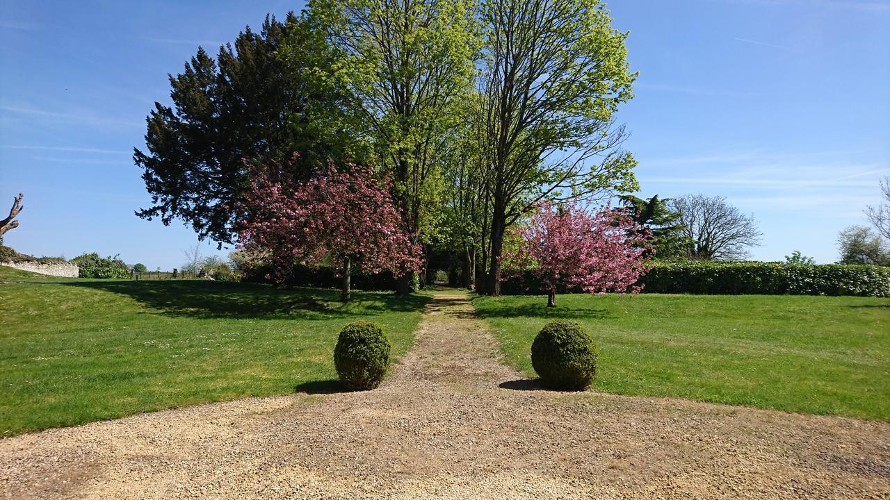 Vila L'Olivier Monts-sur-Guesnes Exteriér fotografie