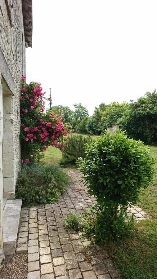 Vila L'Olivier Monts-sur-Guesnes Exteriér fotografie
