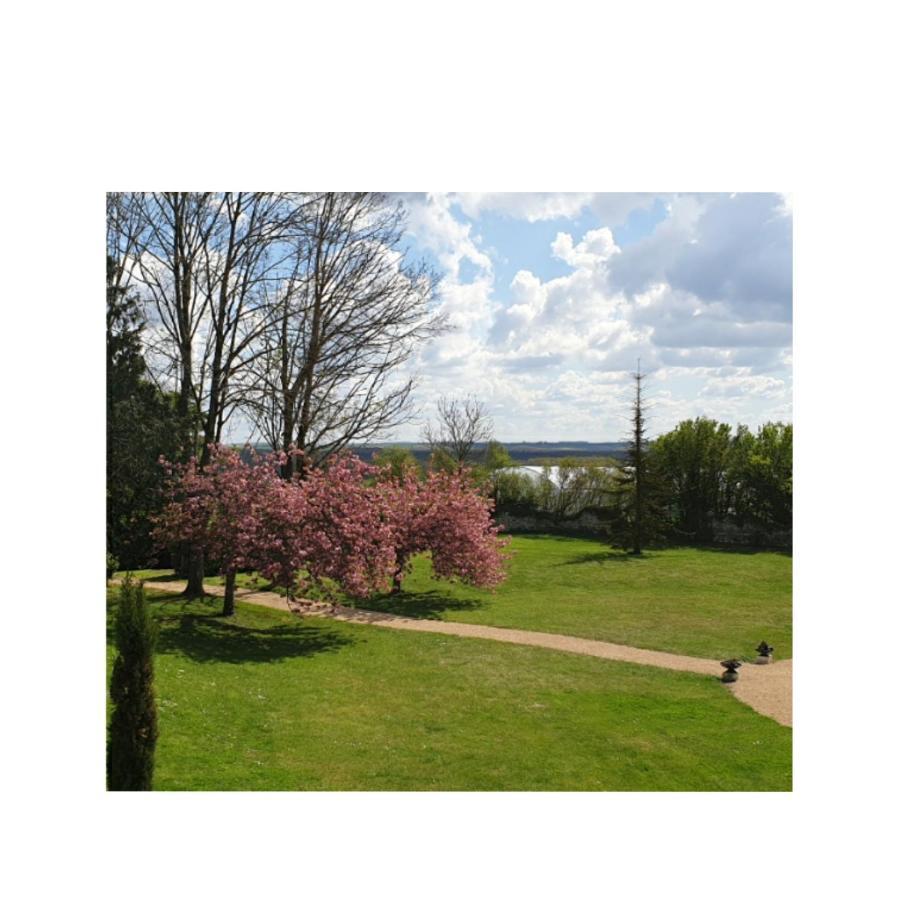 Vila L'Olivier Monts-sur-Guesnes Exteriér fotografie